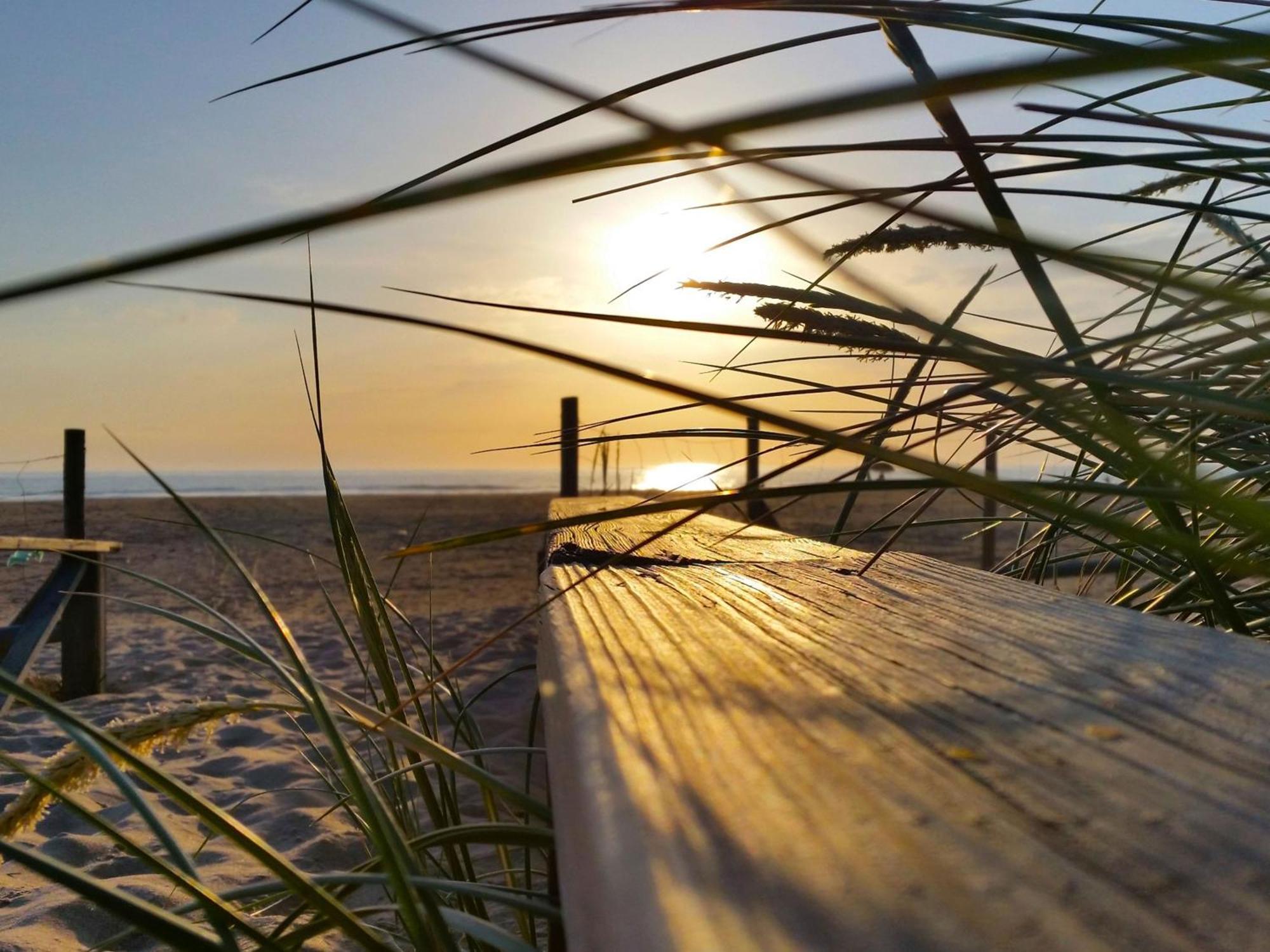 Agoodplan Dehesa De El Palmar Lägenhet Cádiz Exteriör bild